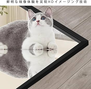 Amazon.co.jp: 全身鏡 姿見 割れない軽量ミラー スリム 幅30×高さ120cm
