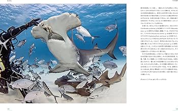 Amazon.co.jp: 世界のサメ 迫力ビジュアル図鑑 : ダニエル・C. アベル