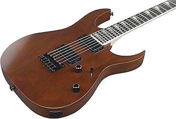 Amazon | GIO Ibanez 初心者向けエレキギター (ウォルナット・フラット
