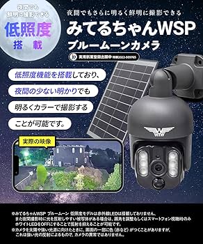 Amazon.co.jp: WTW 塚本無線 みてるちゃんWSPブルームーン 12000mAh
