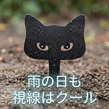 Amazon.co.jp: [VIVIORA]猫 黒猫 ガーデンオブジェ ガーデンピック
