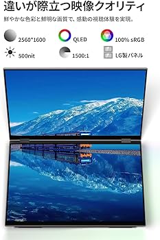 Amazon.co.jp: EHOMEWEI デュアルモニター 16インチ QLED 2.5K