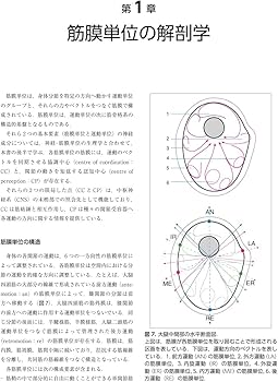 Amazon.co.jp: 筋膜マニピュレーション 理論編 原著第2版: 筋骨格系