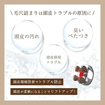 Amazon | 【限定色 3/30終了】ZOGANKIN(ゾーガンキン) スカルプ