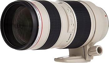 Amazon.co.jp: Canon EF Lレンズ 70-200mm F2.8L USM : CANON: 家電
