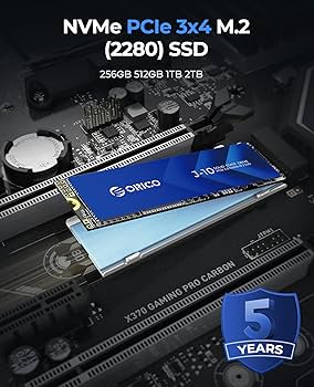 Amazon.com: ORICO NVMe SSD 2TB M.2 with Heatsink, Up to 3100MB/s