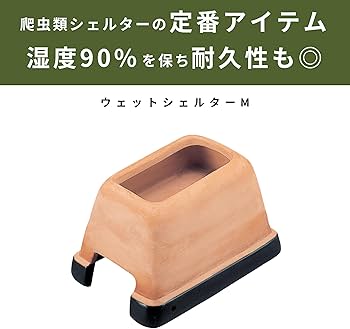 Amazon | スドー レオパ飼育セット キット 爬虫類 ヤモリ ガラスケージ