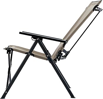 Amazon.co.jp: Coleman(コールマン) レイチェアマックス(グレージュ