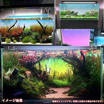 Amazon.co.jp: 水槽 WRGBバックライトスクリーン アクアリウム LED