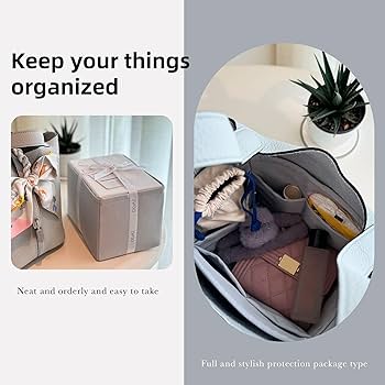 Amazon.com: DGAZ Purse Organizer Silky Smooth Fits picotin 18/22