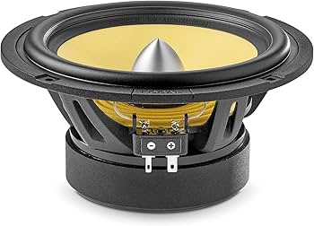 Amazon.com: Focal ES 165 KX2E - K2 EVO 6.5