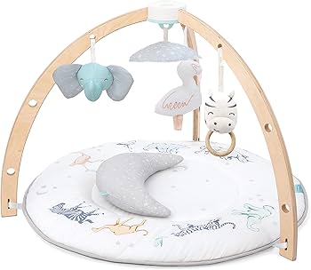 Amazon.com: aden + anais Play and Discover Baby Activity Gym – 30+
