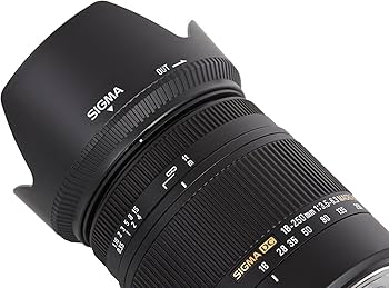 Amazon.co.jp: Sigma 18-250mm F3.5-6.3 DC Macro OS HSM : Electronics