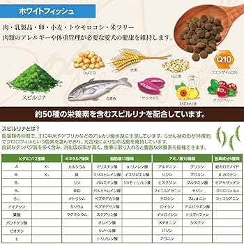 Amazon.co.jp: 【取寄せ】セレクトバランス グリーンレシピ ホワイト