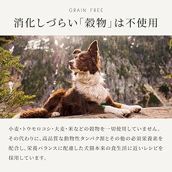 Amazon.co.jp: カナガン ドッグフード サーモン (2kg) ドライフード 全