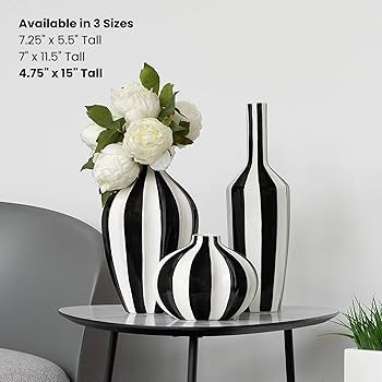 Amazon.com: Torre & Tagus Abstract Black and White 15
