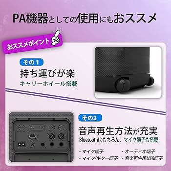 Amazon.co.jp: ソニー(SONY) ワイヤレススピーカー SRS-XV800:広い場所