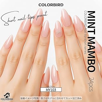 Amazon | COLORBIRD ネイルチップ ショート 24枚 マグネットネイル