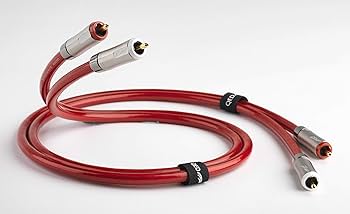 71lZim+F-6L._AC_UF350,