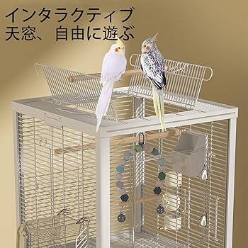 Amazon | Ruexue 鳥かご 透明アクリル製ドア＆多機能拡張口 文鳥