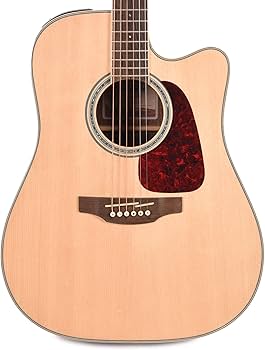 Amazon.com: Takamine GD71CE-NAT Dreadnought Cutaway Acoustic
