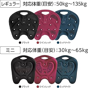 Amazon.co.jp: BackJoy(バックジョイ) メディコアリリーフ ミニサイズ