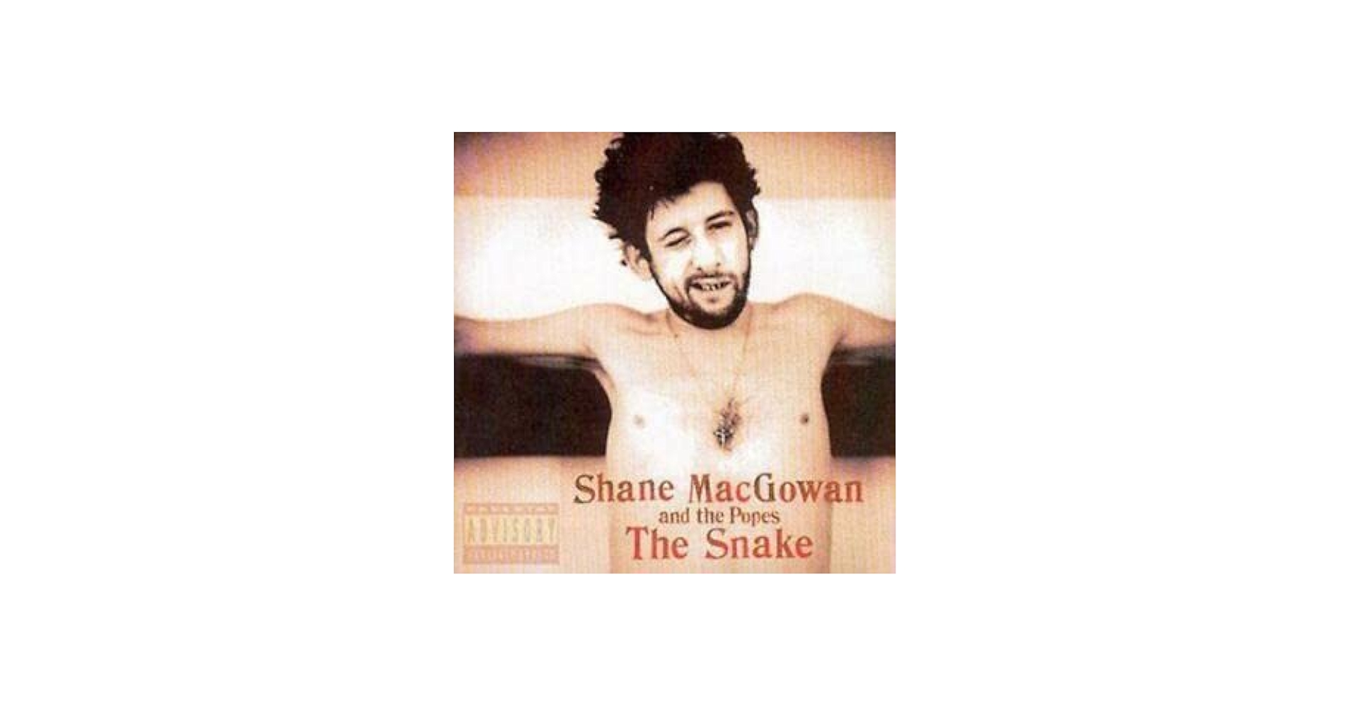 Shane MacGowan & The Popes - The Snake - Amazon.com Music