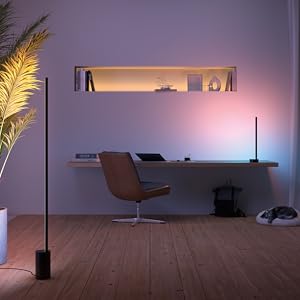Amazon.co.jp: フィリップスヒュー(Philips Hue) フロアライト