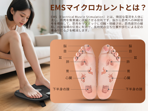 Amazon.co.jp: 『筋力トレーニング・むくみ解消』Monons[モノンズ] EMS