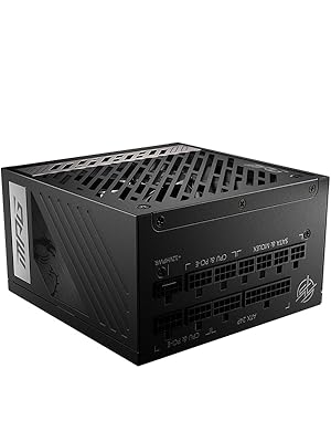 動作確認済 MSI A850GS PCIE5 850W 電源ユニット Amazon.com: MSI MPG