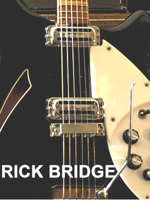 Amazon.co.jp: Mastery Bridge マスタリーブリッジ リプレイスメント