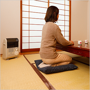 Amazon | Iwatani カセットガス ストーブ 風暖 日本製 コードレス