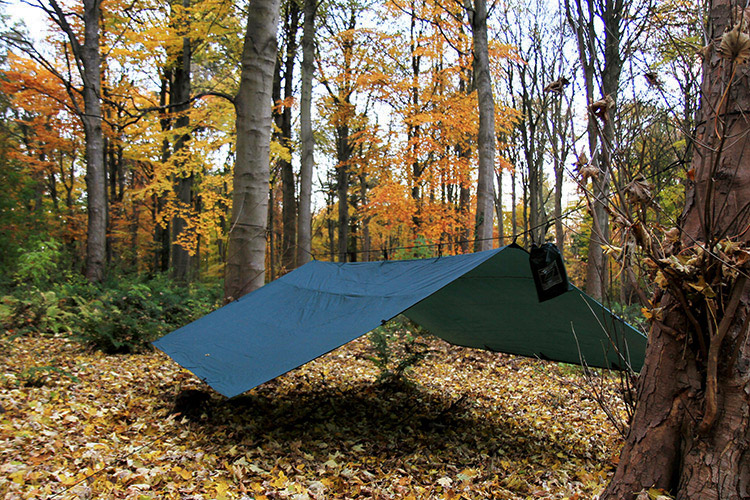 Amazon.co.jp: DD Hammocks タープ 4X4 正方形 (Olive green) [並行