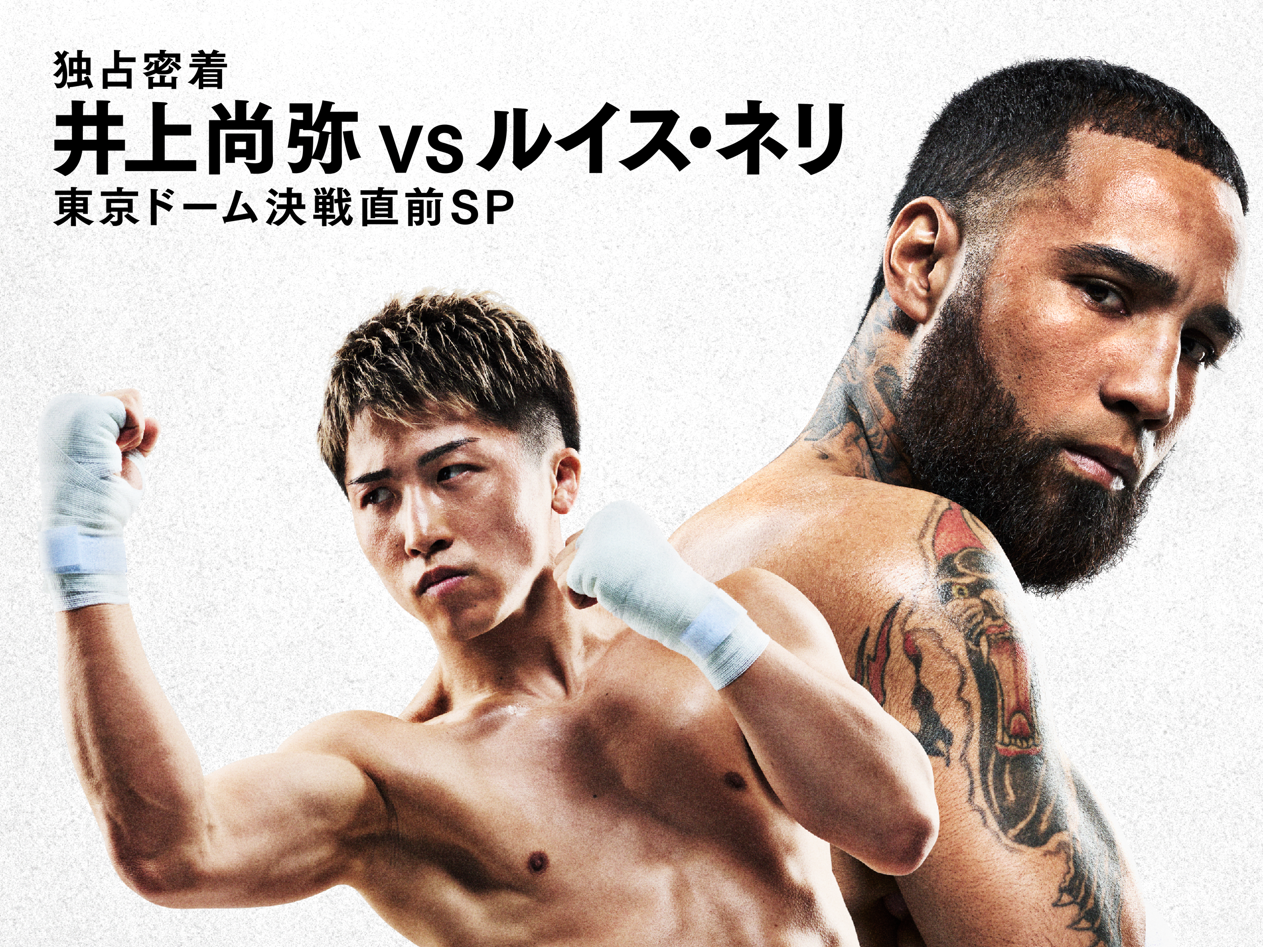 井上尚弥VSネリ INOUYE vs NERY グッズセット 井上尚弥VSネリ INOUYE