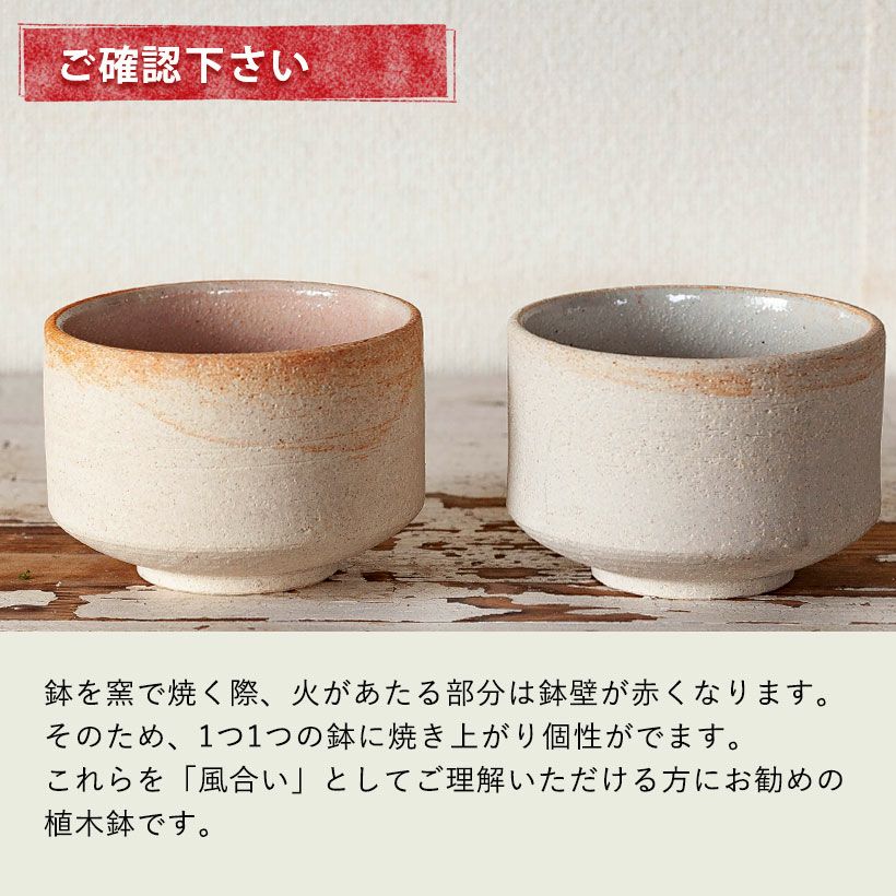 国産・お椀みたいな浅型陶器鉢 | [公式]e-花屋さん