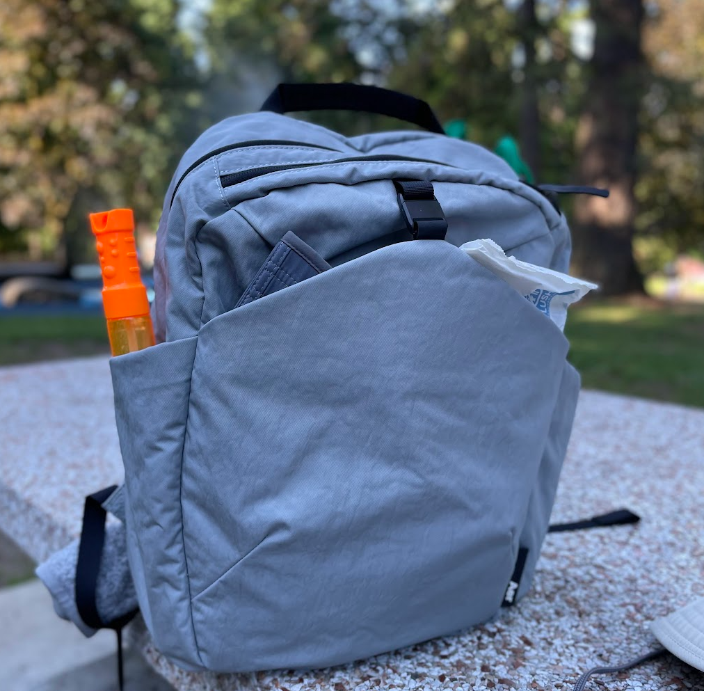 Aer Go Pack 2: Travel Parenting Bag Review | by HL | Pangolins