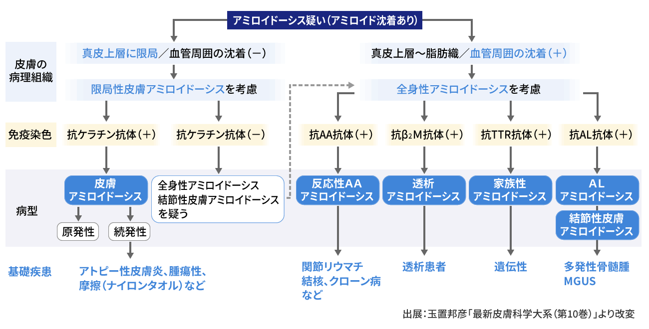 アミロイドーシスの診断 - みやけ内科・循環器科【総合内科のアプローチ】