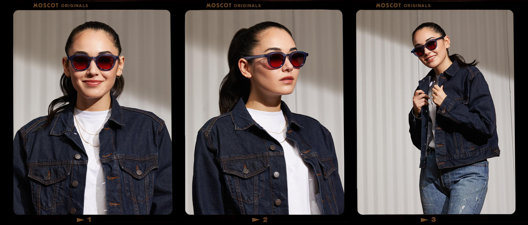 DAHVEN POLYCHROME | Glasses escuros | MOSCOT