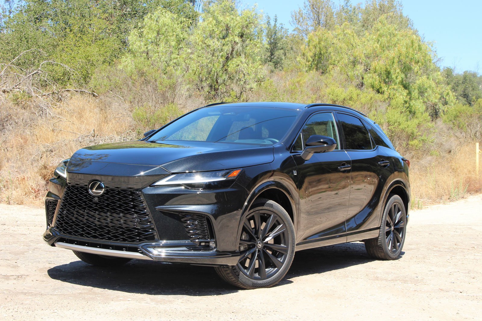 2023 Lexus RX 500h F SPORT Performance First Drive Review: Getting