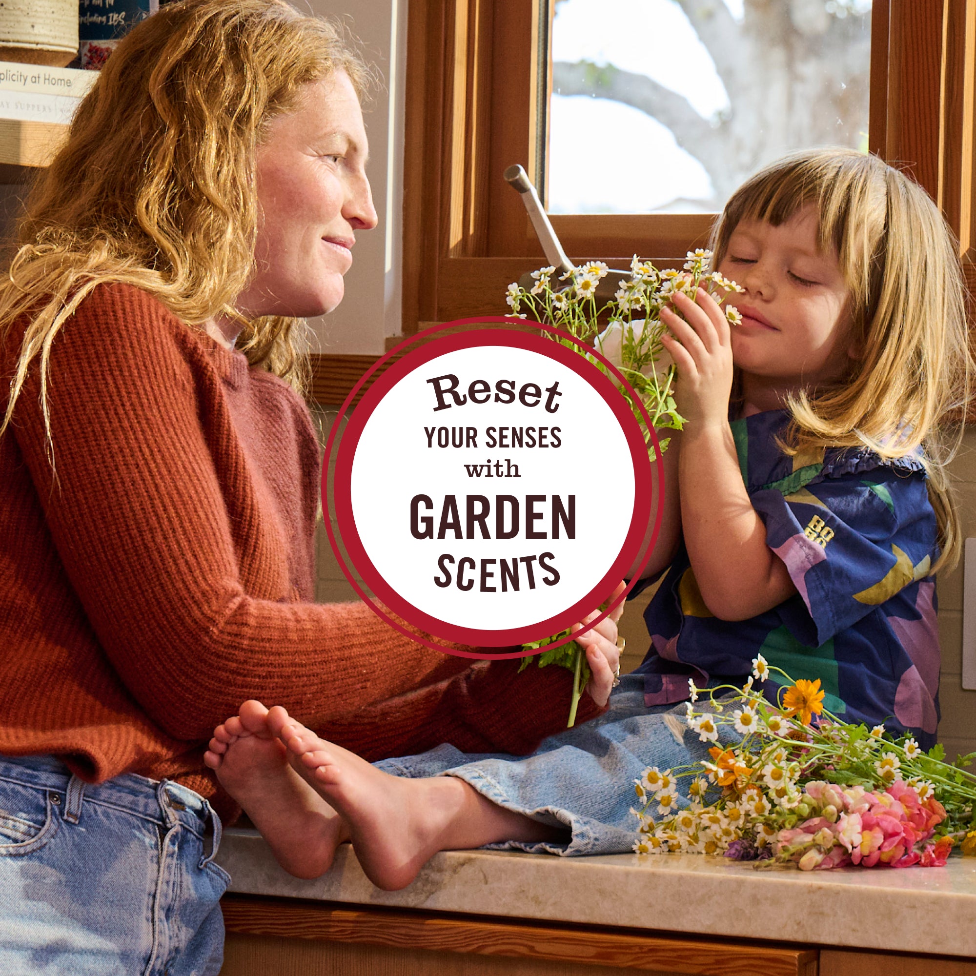 Mrs. Meyer's Acorn Spice Room Freshener – Mrs. Meyer's Clean Day