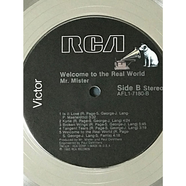 musicgoldmine.com - Mr. Mister Welcome To The Real World RIAA