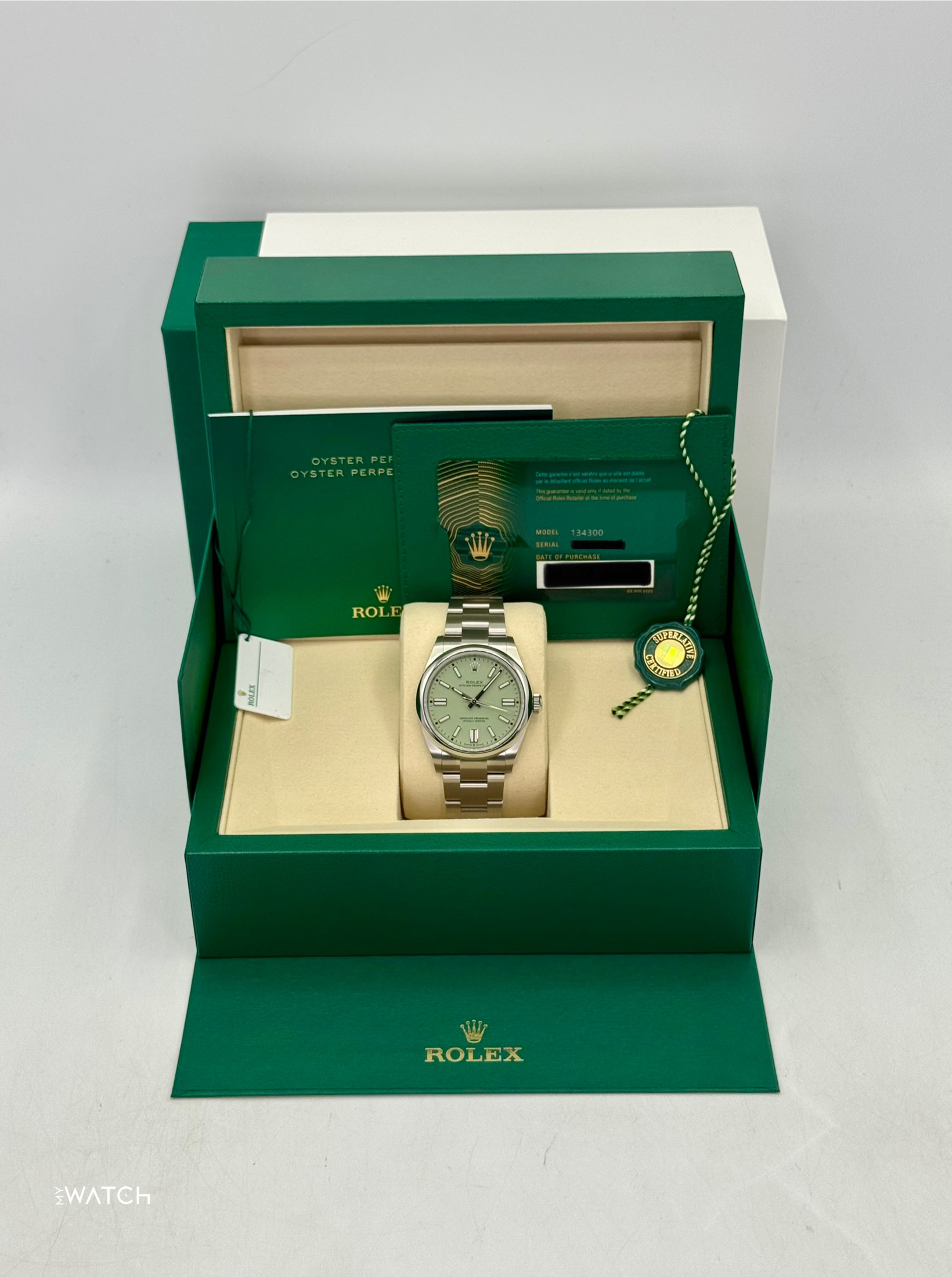 NEW 2025 Rolex Oyster Perpetual 41mm 134300 Pistachio Dial