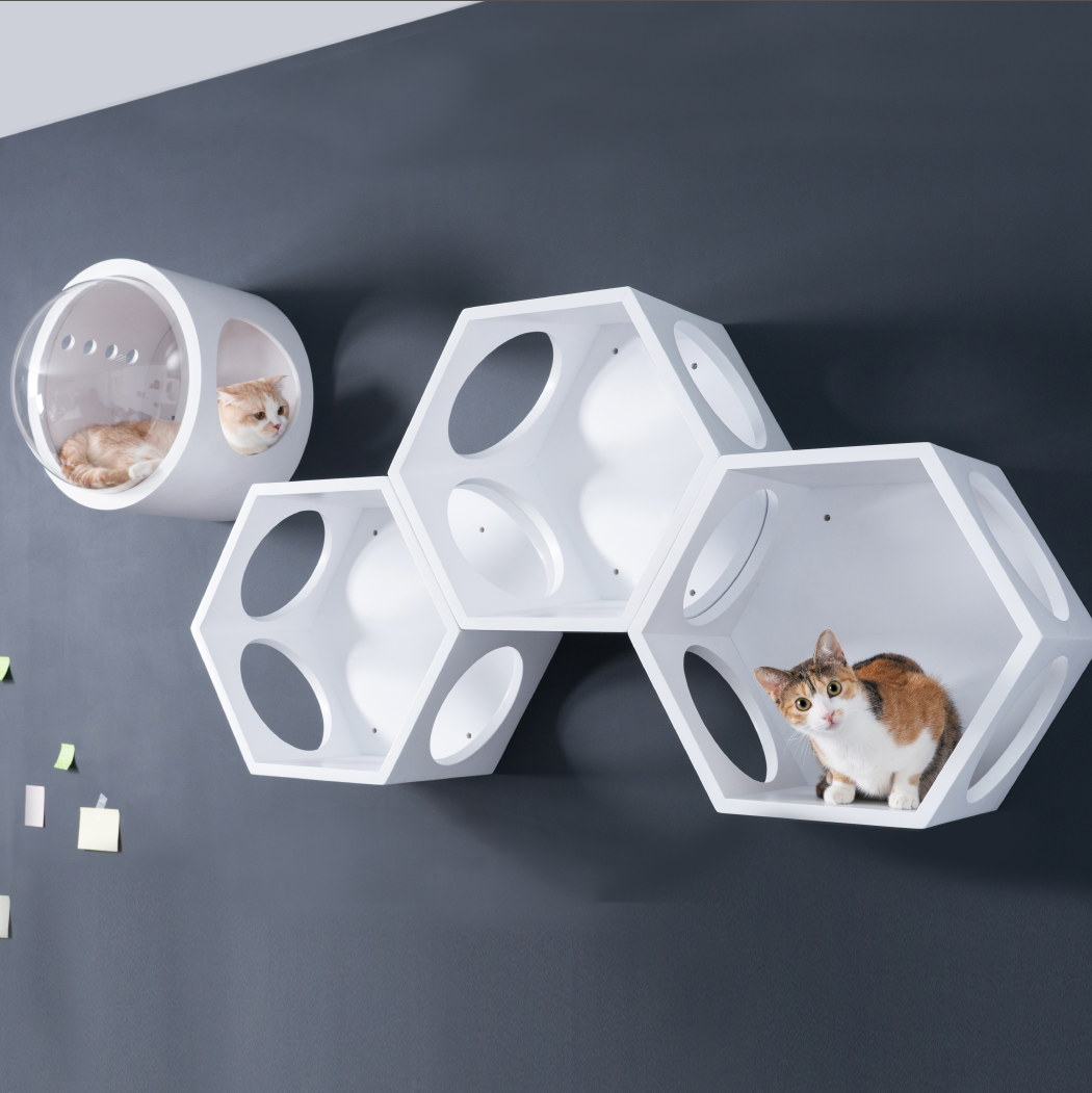 Busycat White
