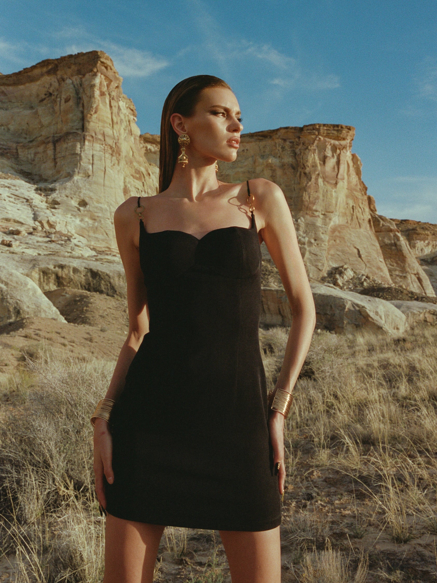 Sabrina Mini Dress (Final Sale) – Nana Jacqueline