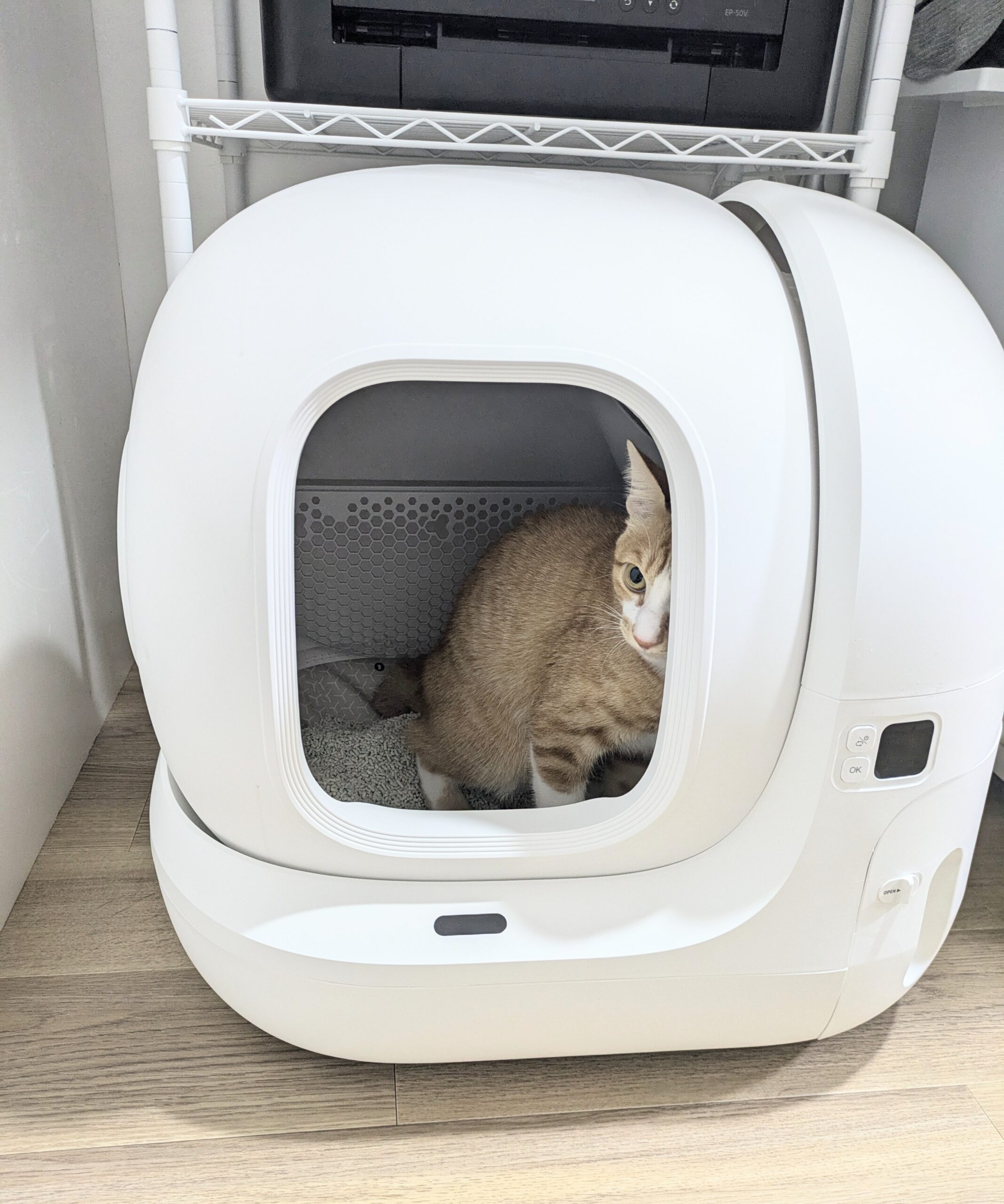 ついにここまで進化！AIカメラで猫の顔認識・動画撮影・排泄物を記録