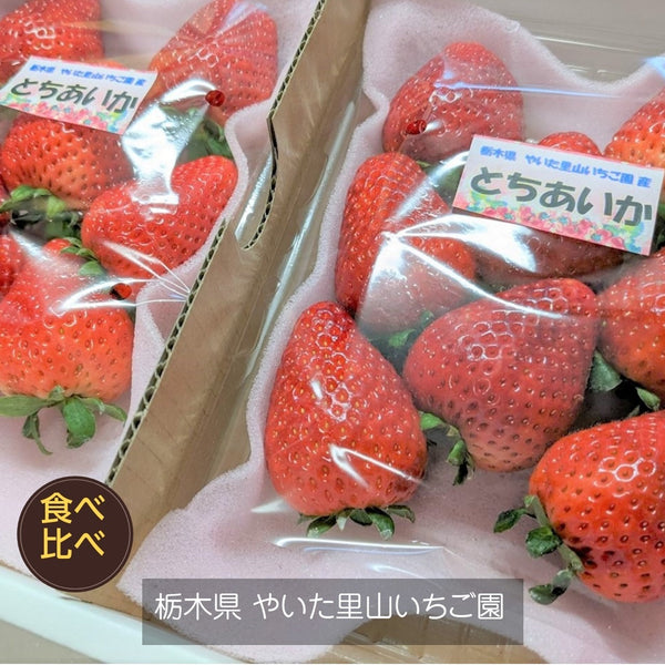 s-s_600x.jpg?v=1679974082