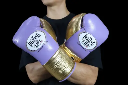 Home | No Boxing No Life