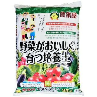 アウトレット品】新富士 Do－Ga 草焼バーナー KusayakiGT－500 灯油式