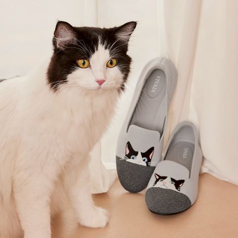 人気商品 | VIVAIA JAPAN | LINE Official Account