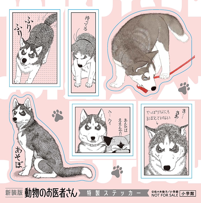 動物のお医者さん」新装版12巻、チョビのチャームやファイルが抽選で各
